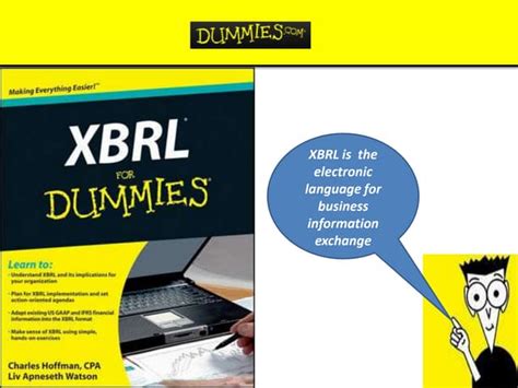 Xbrl For Dummies