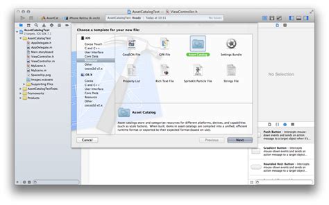 Xcode Asset Catalog Render As Original Image Setting