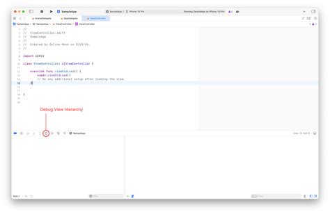 Xcode debug tutorial