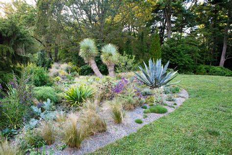 Xeriscape dallas.  Call today for more info.  Start with a plan.  Learn about s...