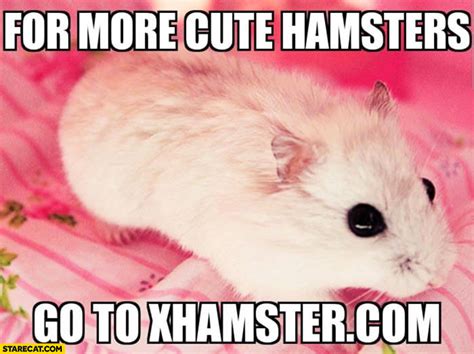 xHamster is the most sophisticated porn video search engine: full-length hardcore sex movies, short XXX video clips, and high-quality adult tube scenes. . Xhamstercoim