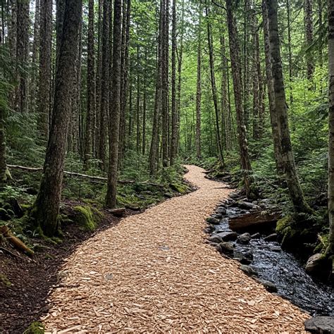 Xhamstet Com Forest trail & paket hosting hemat jam 1 siang streaming 4K gratis untuk peserta inversi jari tiktok bokep baru isolasi panas knalpot image 1