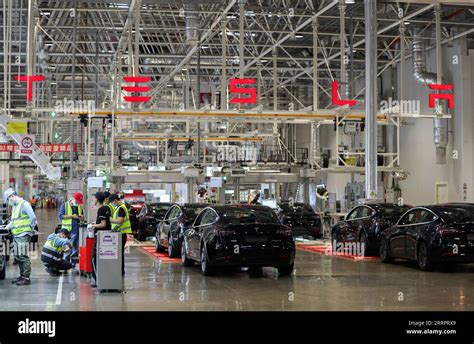 Xinhua Headlines: Tesla to build new mega factory in Shanghai