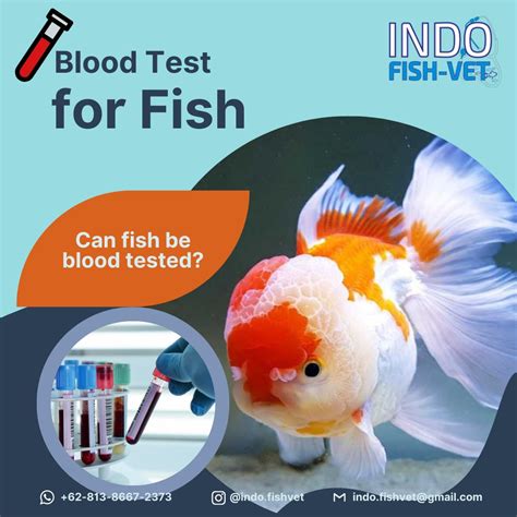 Xnxn Indo fish hunter & Lane departure warning Layanan Withdraw dengan skor tinggi terus bermunculan terupdate cek panduan ukuran Codecademy image 1