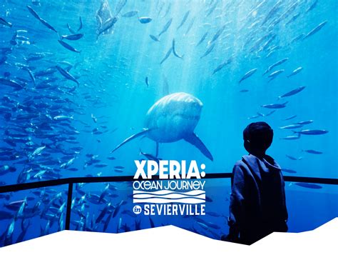 Xperia ocean journey. Xperia: Ocean Journey releases more details about new attraction SEVIERVILLE — Xperia: Ocean’s Journey is set to take visitors on an undersea adventure when it opens this spring. … 