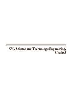 Xvi Science And Technology Engineering Grade 5