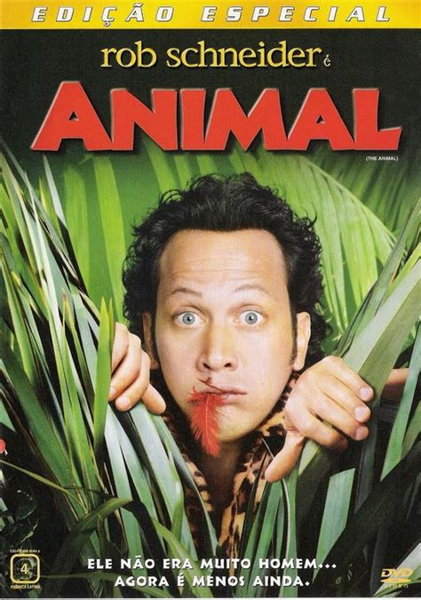 Xvid animal. Things To Know About Xvid animal. 