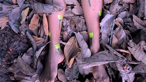 Xvideo forced. .  <a href=https://abdysuerkulov.gov.kg/f2el/password-meet-russian-brides...