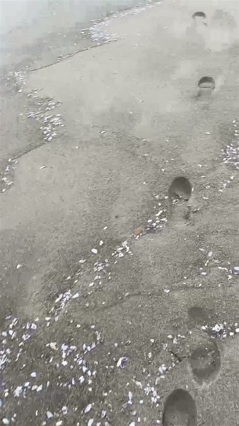 Xxxextremstile Onlyfans Leaked [HD] 135 Videos