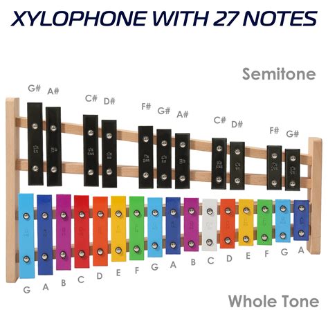 Xylophone notes. .  <a href=https://app.loecos.me/assets/images/ciix7/index.p...