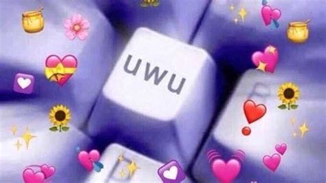 Y.Uwu Onlyfans Leak