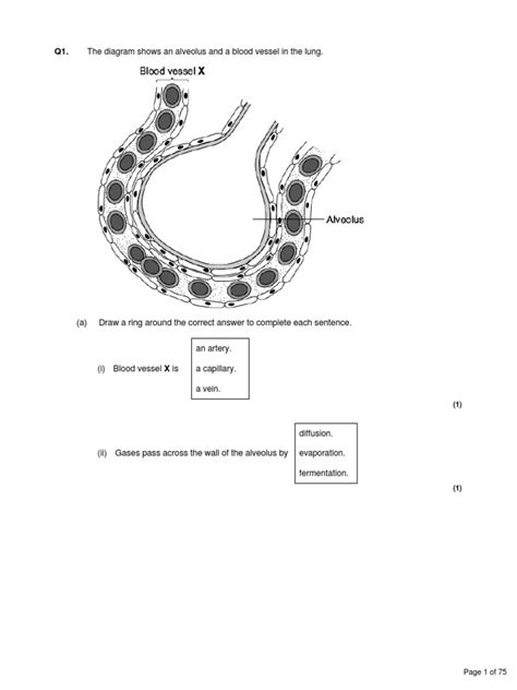 Y11 Biology Mock Exam Questions and MS RRR