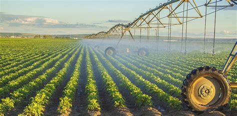 Yale Study Shows How Conversion Of Forests to Cropland Affected … - raincitystudios.com