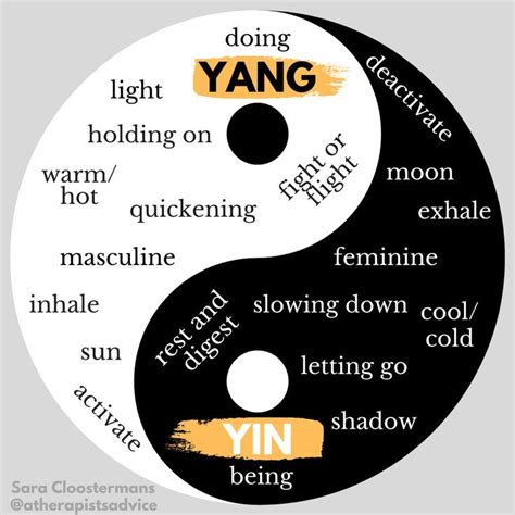 YANG Definition & Meaning - Merriam-Webster - wintechmobiles.com