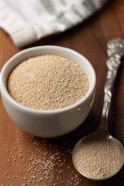 Yeast - raincitystudios.com