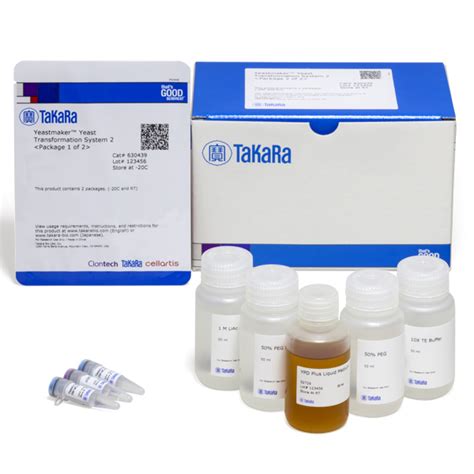 Yeast Transformation Kit - MilliporeSigma - muktibox.com