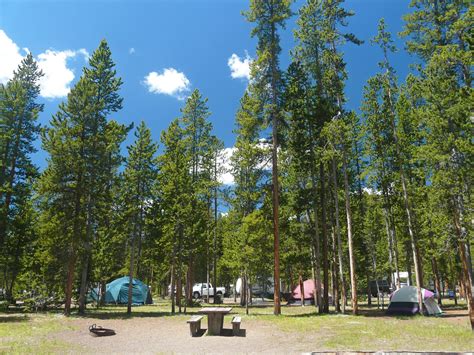 Yellowstone Campgrounds | Ultimate Guide to Camping - balustradellc