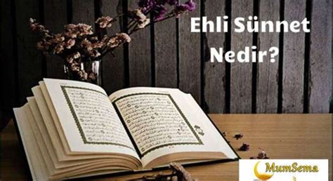 YEZID HAKKINDA EHLI SUNNET GORUSU.