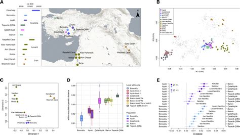 YFull Variable kinship patterns in Neolithic Anatolia revealed by ...