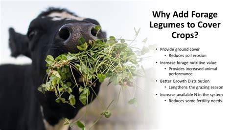 Yield and digestibility of legume and oat forages - raincitystudios.com