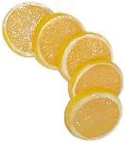 YONGER LEMON SLICE 5 PACK Fake Food - amazon.com