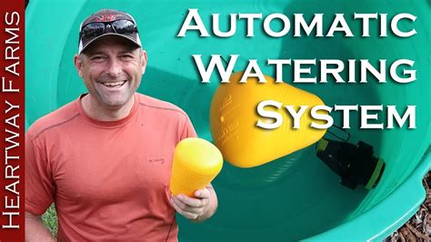 YOU CAN DO IT! Setting Up Automatic Waterers For Livestock | Float ... - balustradellc