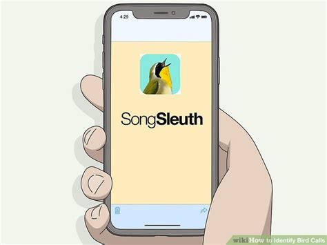 You Can Use Your Phone to Easily Identify Bird Calls - balustradellc