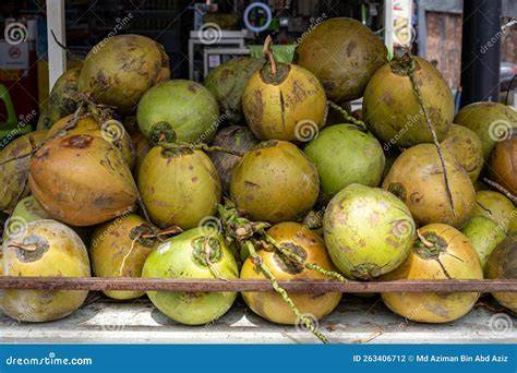 Young Coconuts - Fresh, Organic - Coco Reserve Store - raincitystudios.com