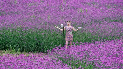 Your best travel tip just came from TikTok - National Geographic - balustradellc