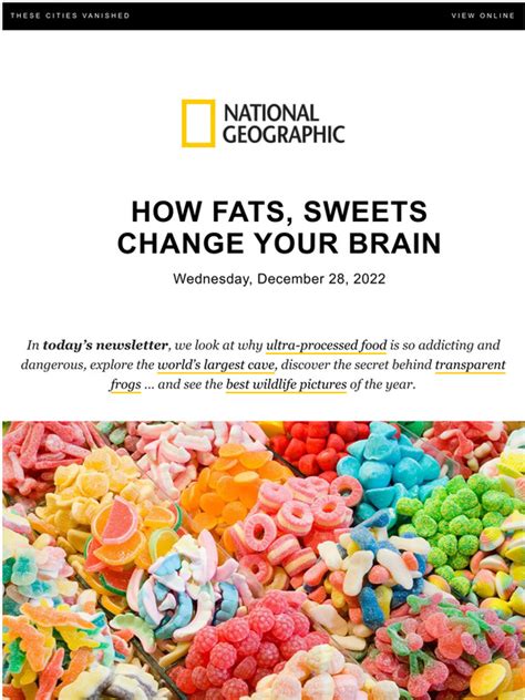 Your Brain On... Fats | The neuroscience of everything - muktibox.com