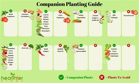 Your Companion Planting Chart for a Healthier, … - raincitystudios.com