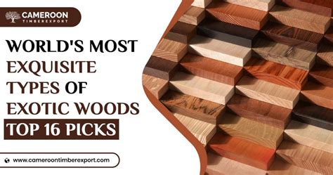 Your Complete Guide To Exotic Wood Species | RealCraft - balustradellc