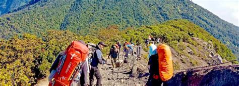 Your Complete Guide to Hiking Mount Gede … - balustradellc
