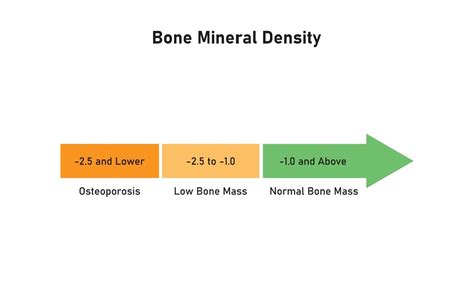 Your Comprehensive Guide to Understanding Normal Bone Density By Age ... - muktibox.com