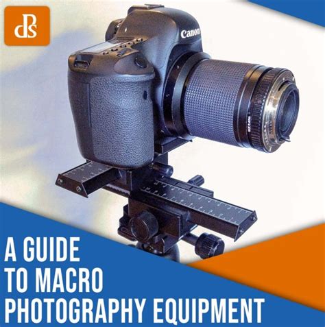 Your Guide to Macro Photography Equipment (10 Tips) - balustradellc