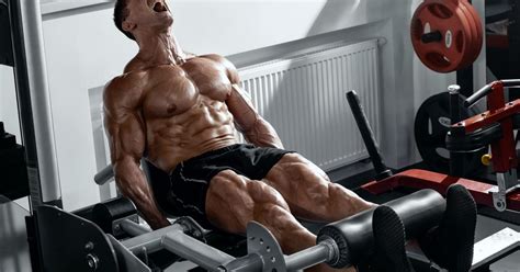 Your guide to mastering leg extensions - The Manual - balustradellc