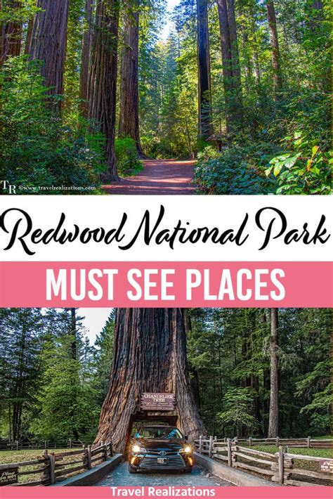 Your Guide to Redwood National and State Parks in California - balustradellc
