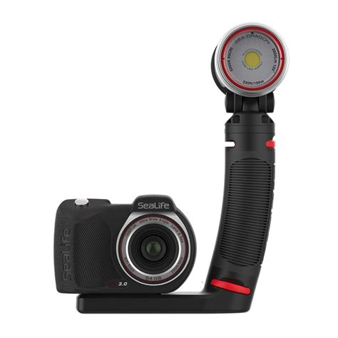 Your Guide to the Best Underwater Camera - divers - balustradellc