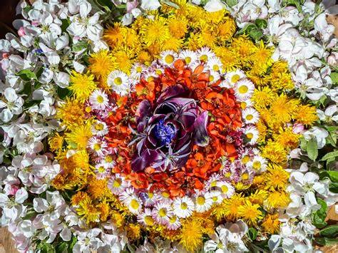 Your One-Stop Guide to Setting Up a Mandala Garden - raincitystudios.com