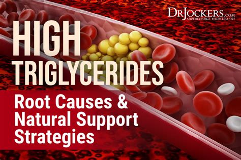 Your questions answered about treating very high triglycerides - balustradellc