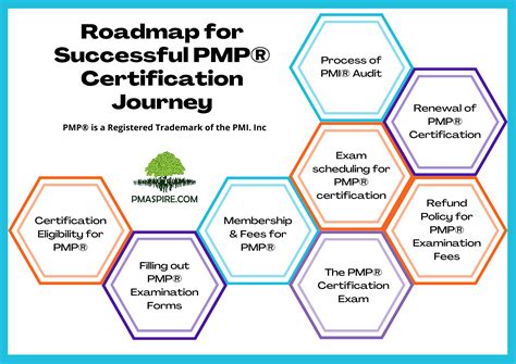 Your Step-by-Step Roadmap to PMP Certification Success - balustradellc