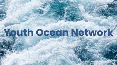 Youth Ocean Network - Marine Conservation Society - raincitystudios.com