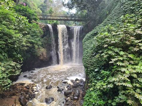 Yuk Berwisata Flora & Fauna di Tahura Djuanda Bandung - raincitystudios.com