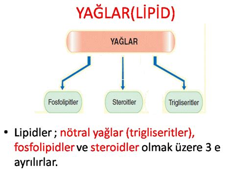 veodersti.rgarabwor.edu.pl. 
