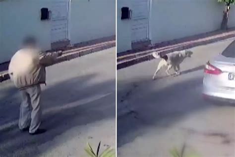 Yaşlı adam kendisine saldıran köpeği vurdu İhlas Haber Ajansı.
