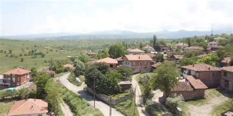 Yaginozu Halı ve Koltuk Yıkama