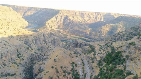 Yagmurkuyusu Halı ve Koltuk Yıkama