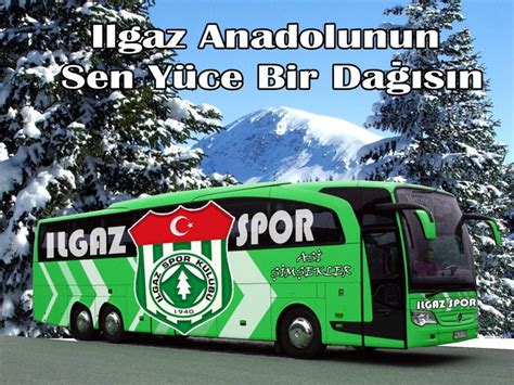 Yalaycik Halı ve Koltuk Yıkama