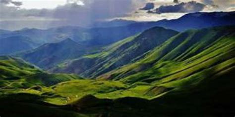 Yalmanlar Halı ve Koltuk Yıkama