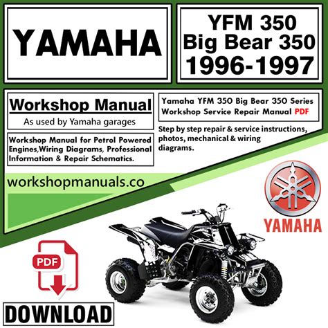 Yamaha big bear 350 service manual repair 1997 1999 yfm350. - Citroen xsara picasso 2000 owners manual.